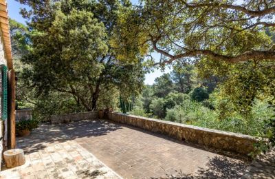 Maison à vendre Puigpunyent:  