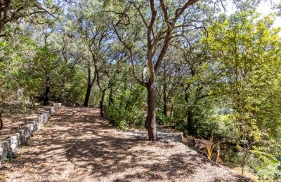 Maison à vendre Puigpunyent:  