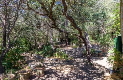 Maison à vendre Puigpunyent:  