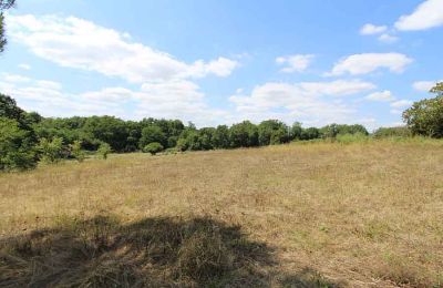 Maison à vendre Gironde:  