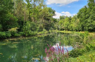 Immobilier historique à vendre Marne:  