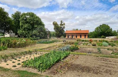 Immobilier historique à vendre Marne:  