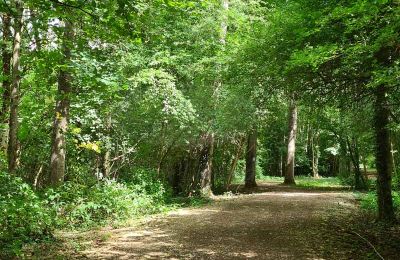 Immobilier historique à vendre Marne:  