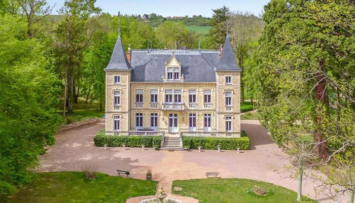 ???images??? 19th C Restored Chateau for sale near Vichy