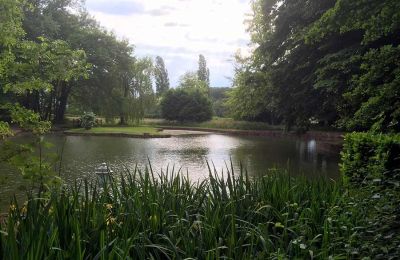 Immobilier historique à vendre Allier:  
