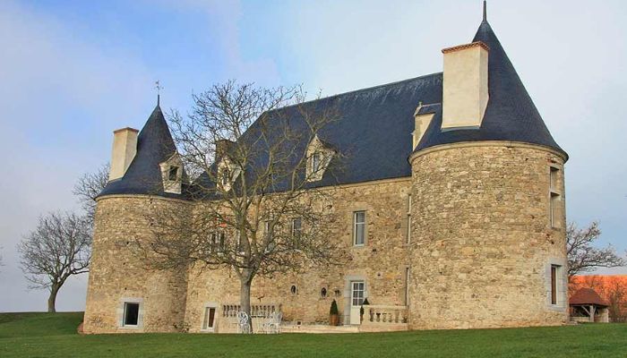 ???images??? Luxuriously restored 15/16th C Chateau for sale - Views