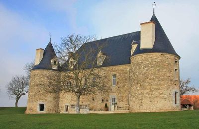 Immobilier historique à vendre Allier:  