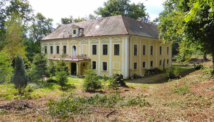 Château à vendre Plzeňský kraj, okres Klatovy, Klatovy,  République tchèque