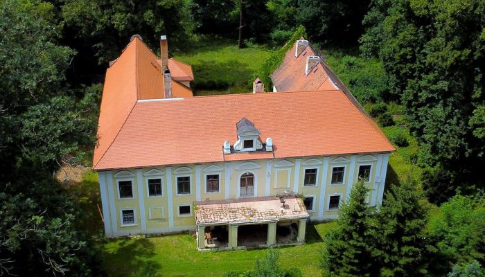 Château à vendre Plzeňský kraj, okres Klatovy, Klatovy,  République tchèque