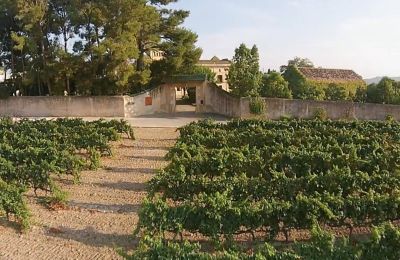 Château à vendre Santa Oliva, Catalogne, Image 6/19