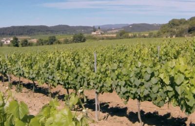 Château à vendre Santa Oliva, Catalogne, Image 7/19