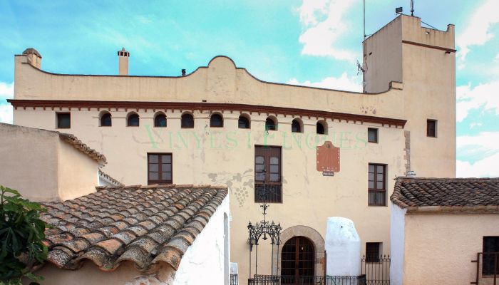 Manoir à vendre Vila-rodona, Catalogne,  Espagne