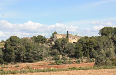 Manoir à vendre Vila-rodona, Catalogne, Image 4/37