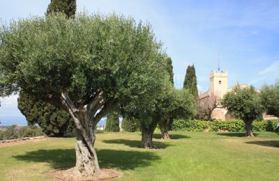 Manoir à vendre Vila-rodona, Catalogne, Image 2/37
