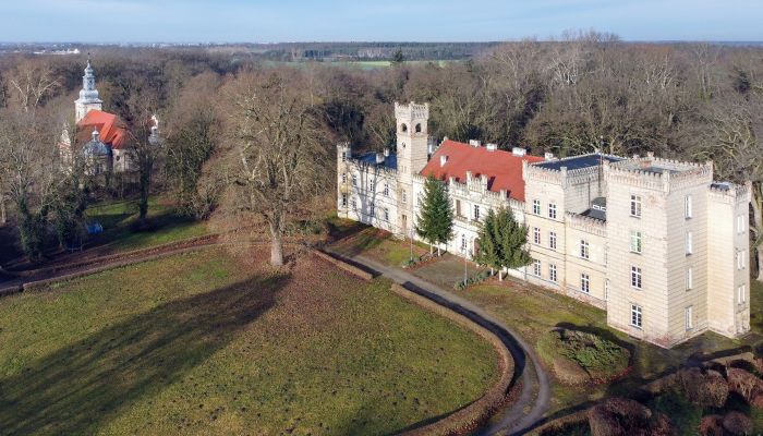 Château à vendre Gościeszyn, Grande-Pologne,  Pologne
