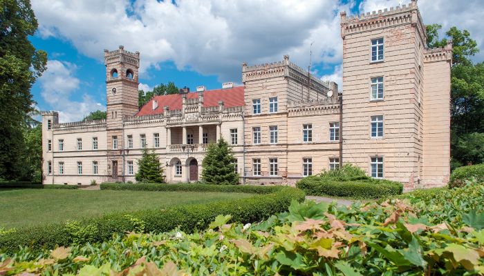 Château Gościeszyn, Grande-Pologne