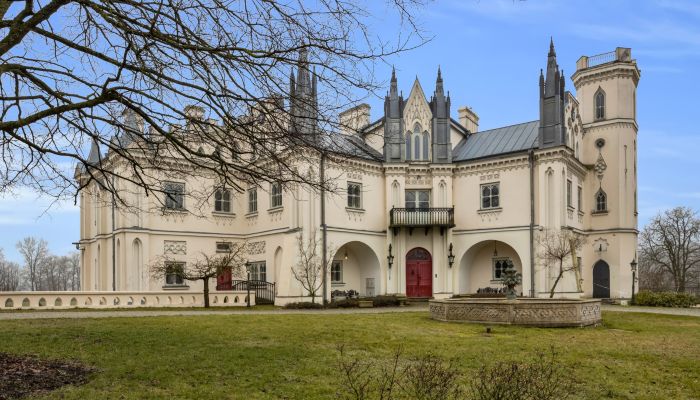 Château Patrykozy-Kolonia, Mazovie