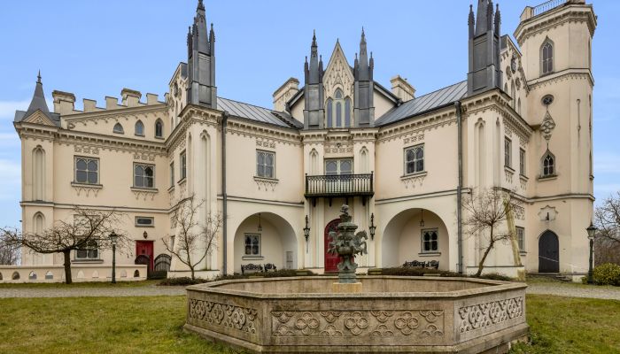 Château parfaitement rénové près de Varsovie