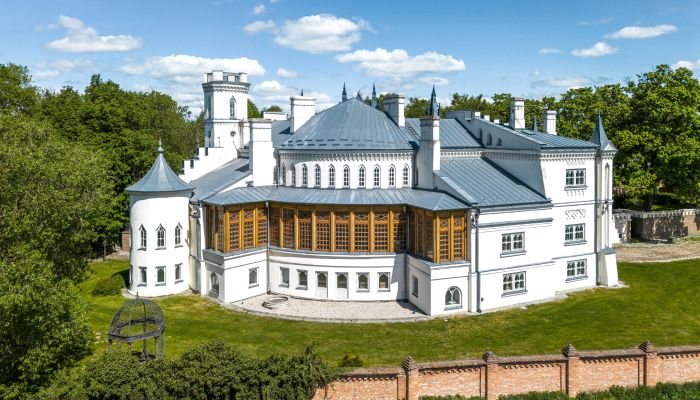 Château à vendre Patrykozy, województwo mazowieckie