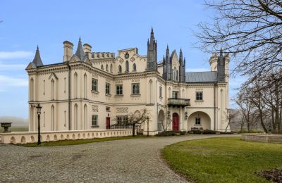 Château à vendre Patrykozy-Kolonia, Mazovie, Image 2/21