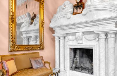 Château à vendre Patrykozy-Kolonia, Mazovie, Image 9/21