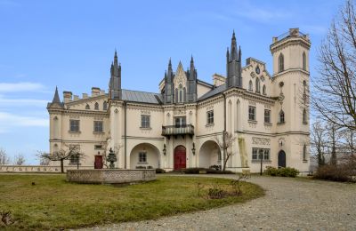 Château à vendre Patrykozy-Kolonia, Mazovie, Image 16/21
