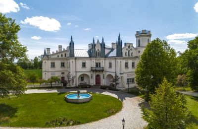 Château à vendre Patrykozy, Mazovie, Pałac w Patrykozach 2025