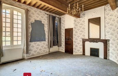 Propriété historique à vendre Bessières, Occitanie, Salon