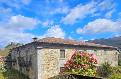 Manoir à vendre 36740 Tomiño, Galice, Image 5/28