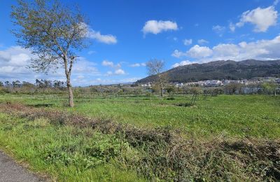 Manoir à vendre 36740 Tomiño, Galice, Image 16/28