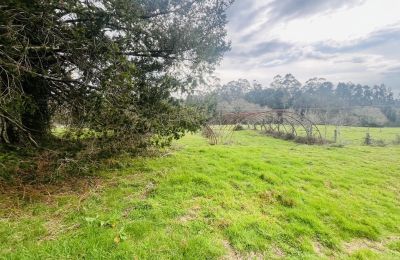 Maison de campagne à vendre 36740 Tomiño, Galice, Terrain