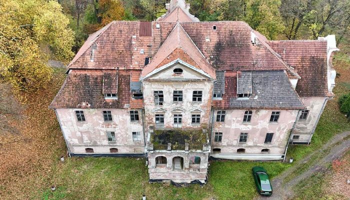 Château à vendre Rychnów, Opole,  Pologne