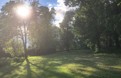 Château à vendre Rychnów, Opole, Image 5/11