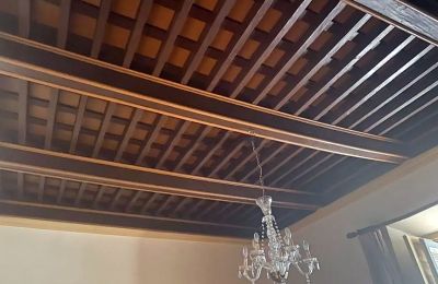 Hôtel particulier à vendre Almagro, Castille-La Manche, Toit