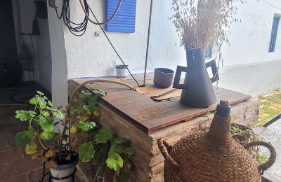 Hôtel particulier à vendre Almagro, Castille-La Manche, Détails