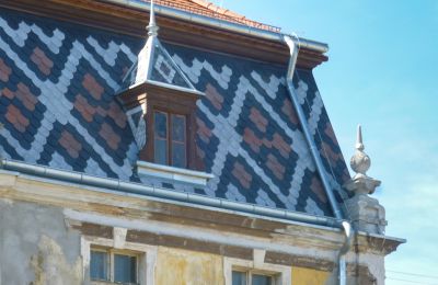 Château à vendre Tyńczyk Legnicki, Tyńczyk Legnicki  3, Basse-Silésie,, Détails