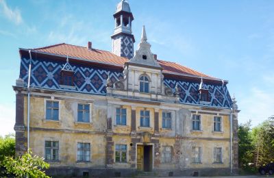 Château à vendre Tyńczyk Legnicki, Tyńczyk Legnicki  3, Basse-Silésie,, Vue frontale