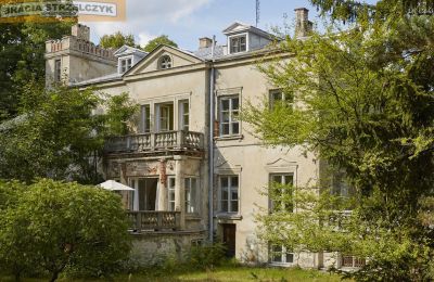 Château à vendre Grzegorzewice, Mazovie