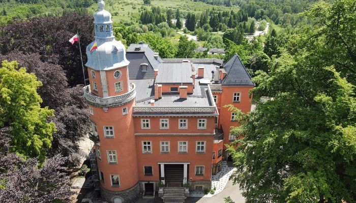 Château XIXe siècle au cœur de la vallée de Hirschberg