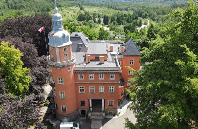 Château à vendre Basse-Silésie, Image 8/40