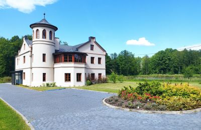 Château à vendre Osiek, Pałac w Osieku, Petite-Pologne, Dépendance
