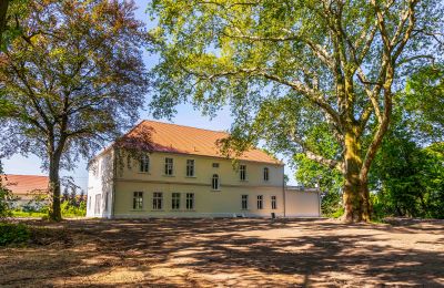 Château à vendre Środa Śląska, Pałac w Wojczycach, Basse-Silésie, Image 4/23