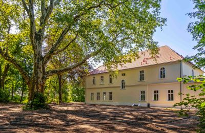 Château à vendre Środa Śląska, Pałac w Wojczycach, Basse-Silésie, Image 5/23