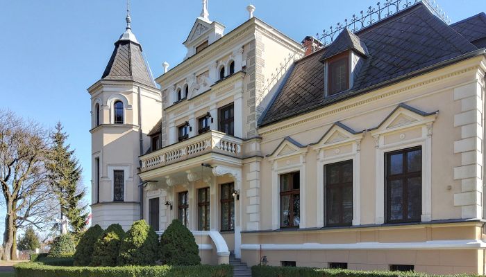 Palais avec parc, écuries et court de tennis en Couïavie-Poméranie