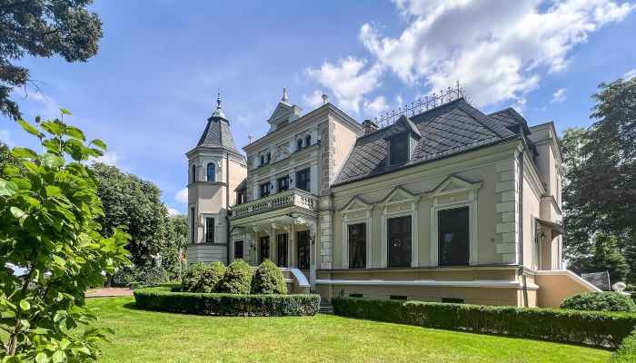 Manoir à vendre Cujavie-Poméranie