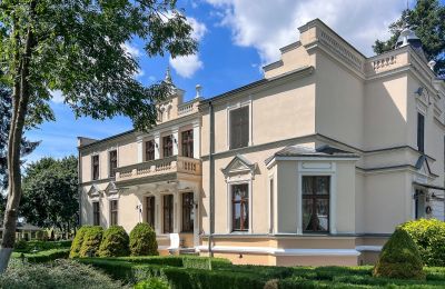 Manoir à vendre Cujavie-Poméranie, Image 18/25