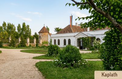 Manoir à vendre Koplotovce,  kaštieľ, Région de Trnava, upravená dobova foto