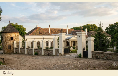 Manoir à vendre Koplotovce,  kaštieľ, Région de Trnava, upravena dobová foto
