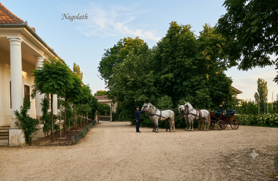 Manoir à vendre Koplotovce,  kaštieľ, Région de Trnava, upravení dobová foto