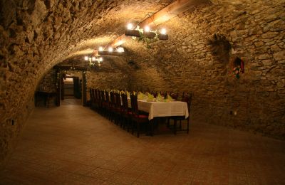 Manoir à vendre Trnavský kraj, okres Hlohovec, Koplotovce, Frídeský kaštieľ, Région de Trnava, Pivnica